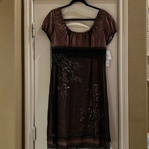 Adrianna Papell Size 10 Knee Length sequined and embroidered cocktail dress.